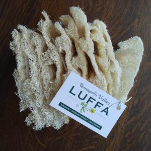 Luffa Party Pack